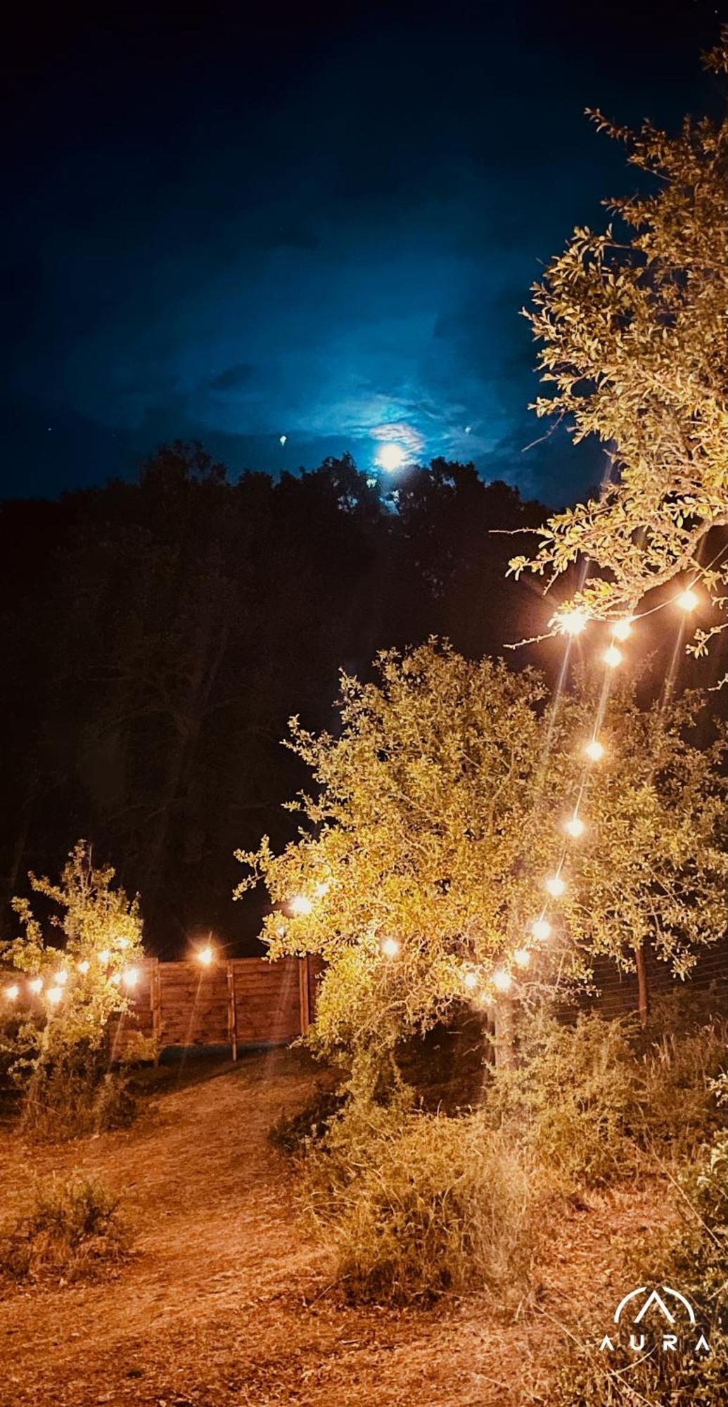 Aura - Glamping Experience Ξενοδοχείο Accettura Εξωτερικό φωτογραφία