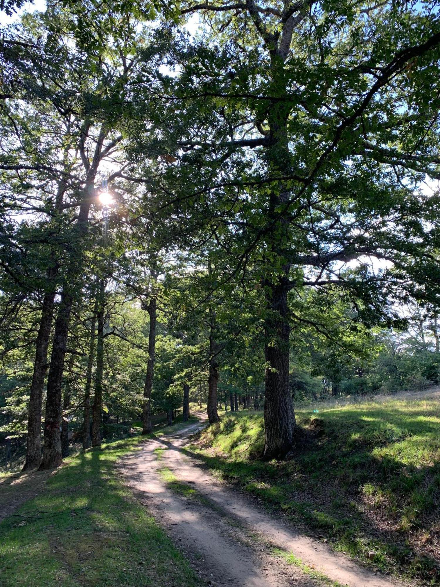 Aura - Glamping Experience Ξενοδοχείο Accettura Εξωτερικό φωτογραφία